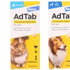 Image 1: Antiparassitario AdTab compresse masticabili per cani e gatti