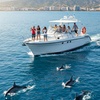 Image 1: Paseo en barco con avistamiento de delfines y bebida para 1 