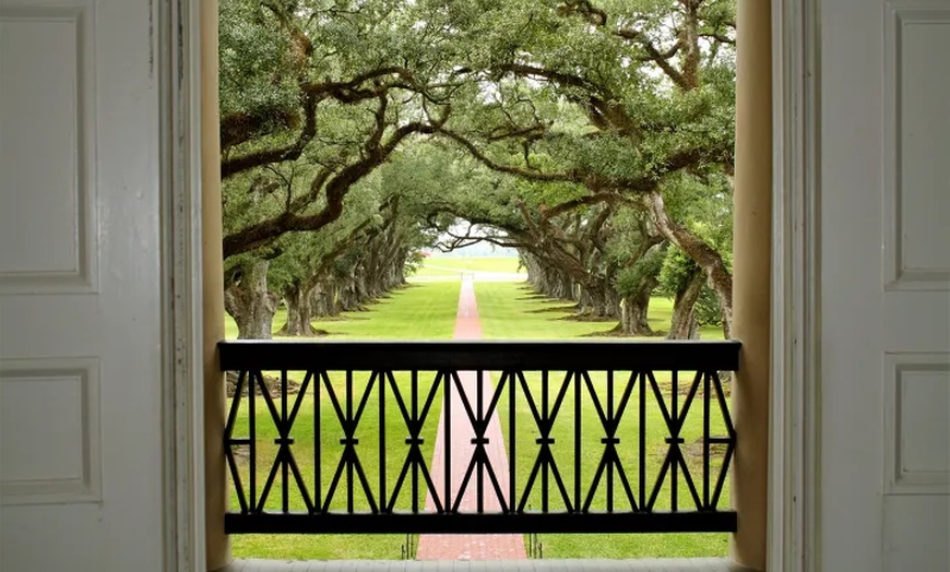 Image 19: Up to 21% Off Historic New Orleans Plantation Tours