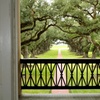 Image 19: Up to 21% Off Historic New Orleans Plantation Tours