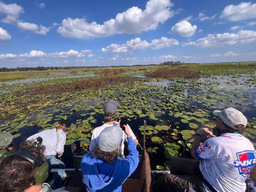 What to expect media