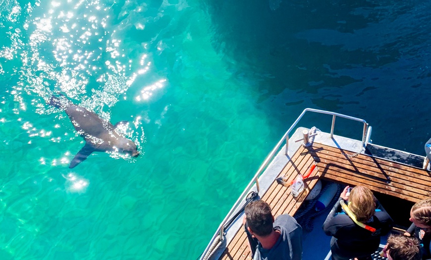 Image 1: Discover Wildlife on Sightseeing Tour for One Adult, Child or Infant 