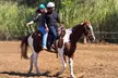Save Up to 30% Off on Private, Group, And 8-Week Horseback Riding Lessons For All Levels at Starlight Acres - Second Medium