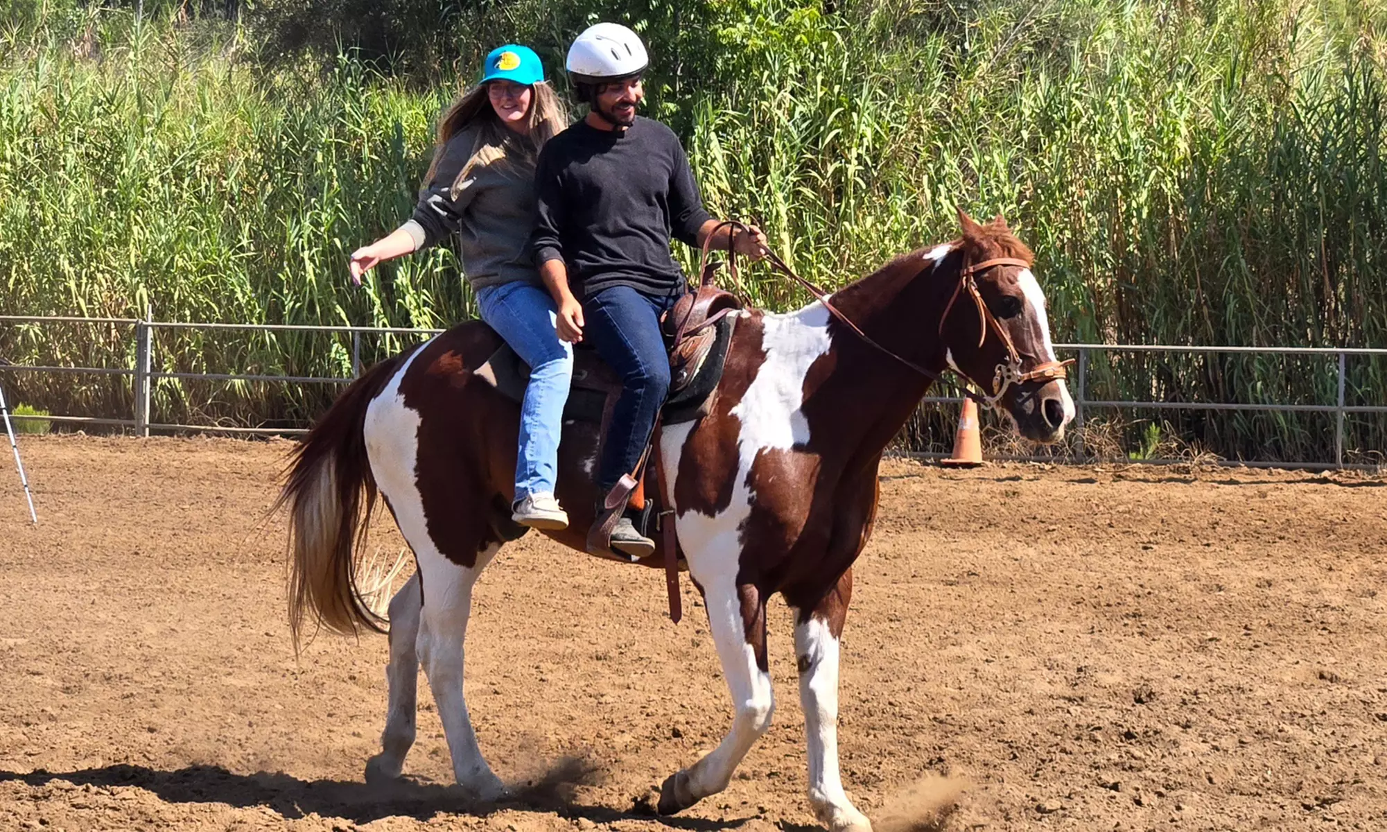 Private, Group, And 8-Week Horseback Riding Lessons For All Levels