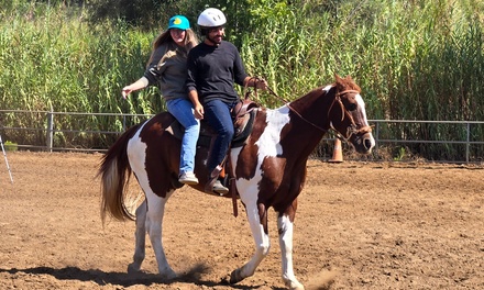 Romantic valentines day  horse back  trail ride for 2 people - Starlight Acres