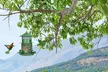 iMounTEK Hanging Wild Bird Feeders - Squirrel-Proof & 3-Tier Options - Second Medium