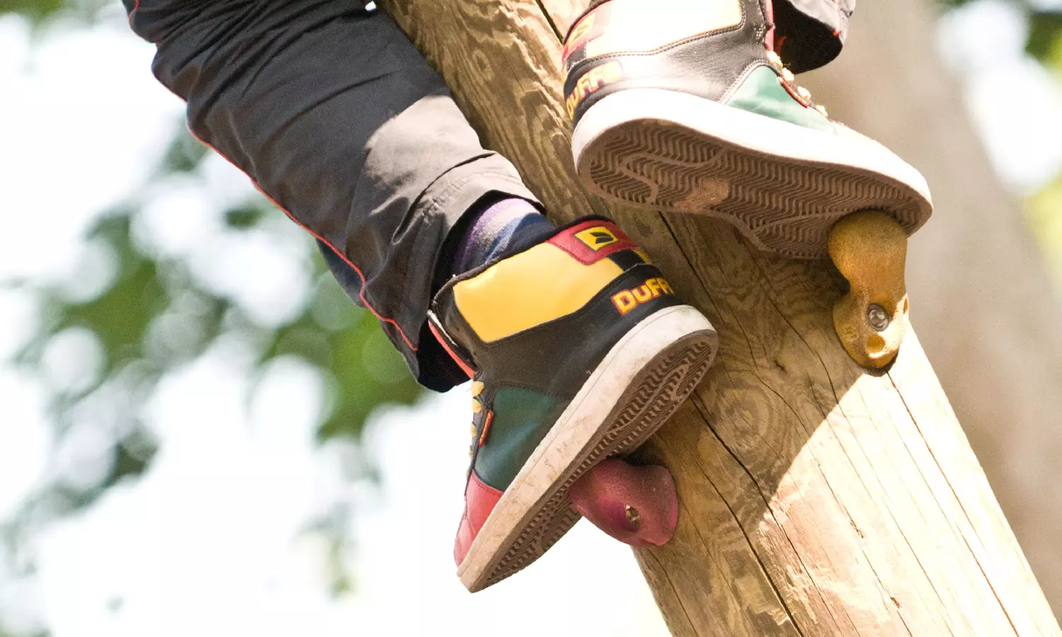 Enjoy an Explorer Fun Day Nets Adventure For Diverse Age Groups