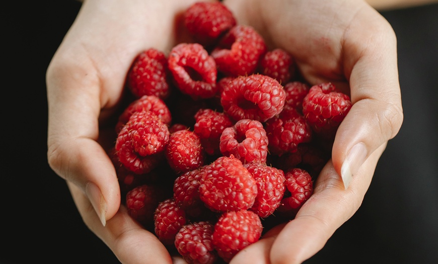 Image 9: Plantas de frutas europeas y asiáticas