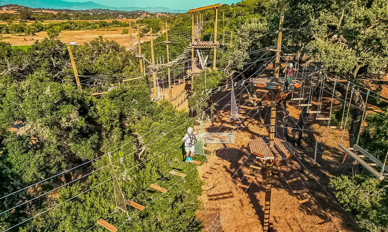 Get a 2-Hour High Ropes Course Exploring 80 Elements for 2 or 4