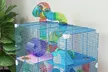 Pawhut 5-Tier Hamster and Gerbil Cage with Tunnel, Wheel and Accessories - Image 5