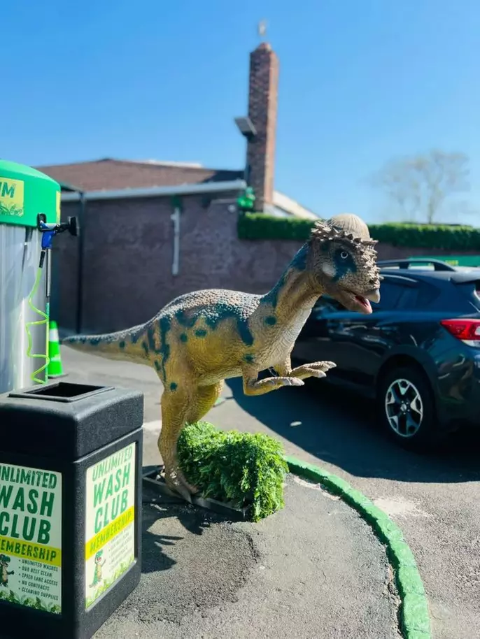 Get a Spotless One Shield Car Wash or One Sparkle Car Wash at Dinosaur Car Wash (Up to 25%Off) - Second Medium