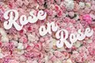 Explore Venice - Rosé on Rose Wine Fest Admission Tickets on Saturday June 14, 2025 (Up to 34% Off) - Second Medium