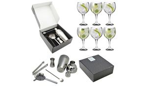 Gin Glasses and Cocktail Set