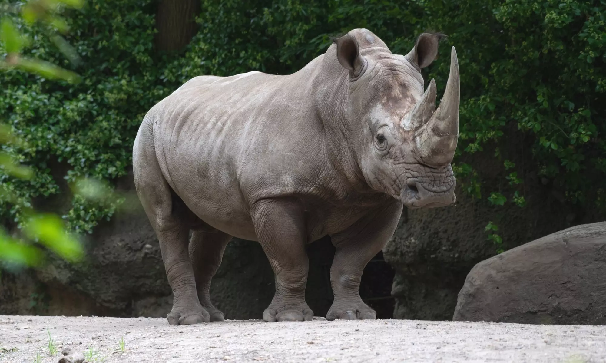 Admission for One Child or Adult to Bronx Zoo