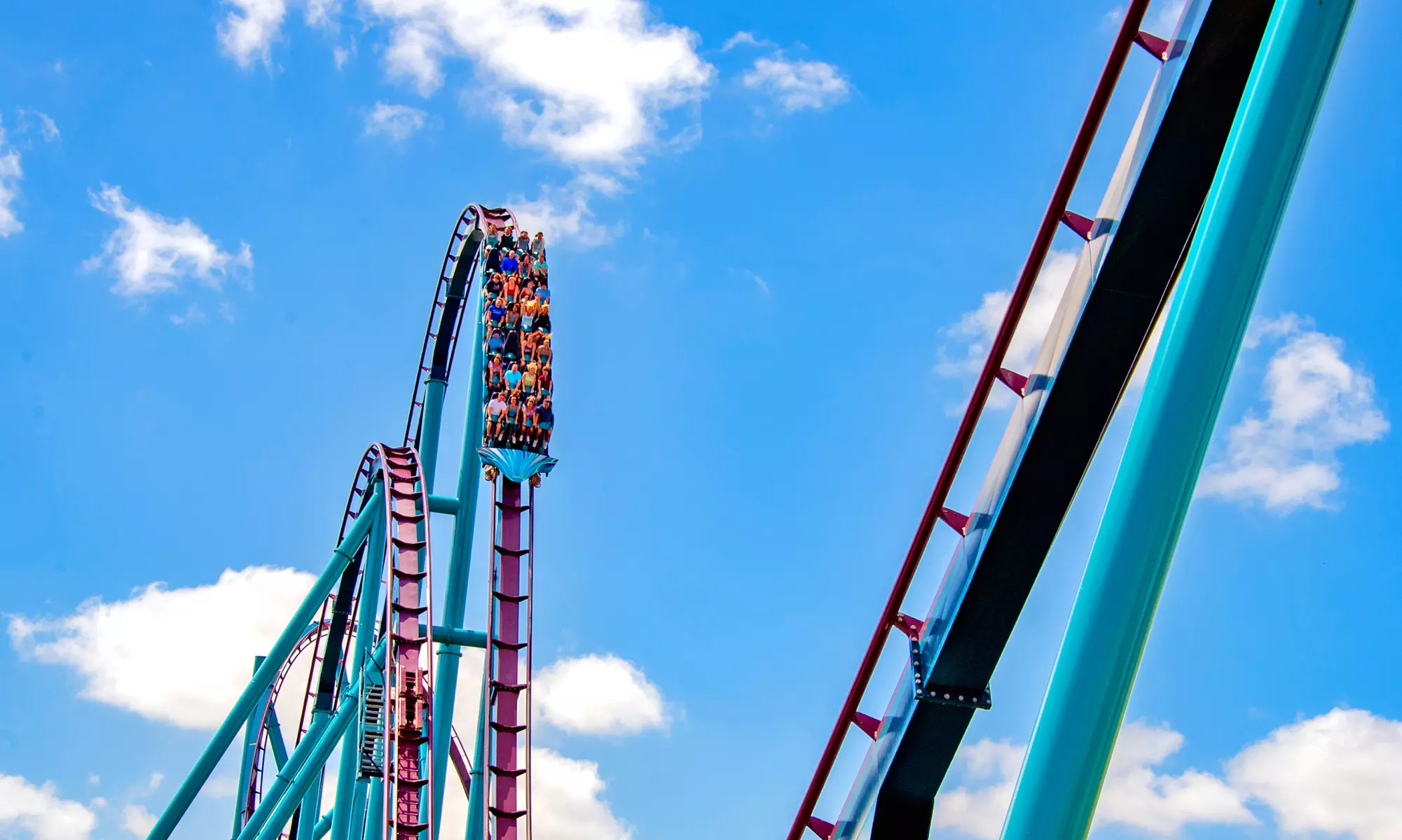 DEAL OF THE DAY!  Admission + FREE Meal - Limited Time Sale - Save up to 64% On SeaWorld Orlando  - Second Medium