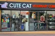 Fresh & Fluffy Pet – Full Grooming w/ Haircut (Cats & Dogs) @Cute Cat Veterinary Clinic Dubai (Up to 31% Off) - Image 4