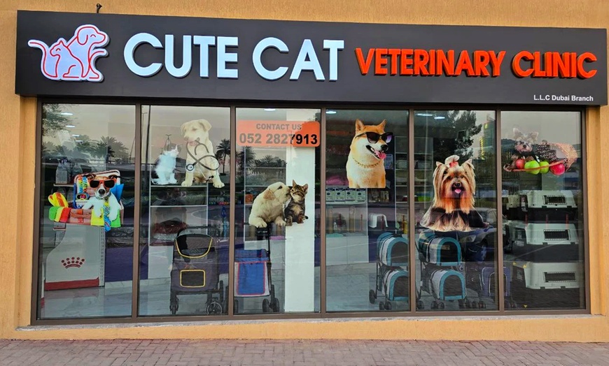 Image 4: Fresh & Fluffy Pet Grooming – Full Grooming With Haircut (Cats & Dogs)