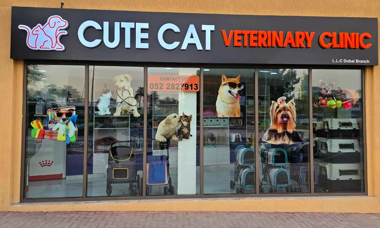 Fresh & Fluffy Pet Grooming – Full Grooming With Haircut (Cats & Dogs)