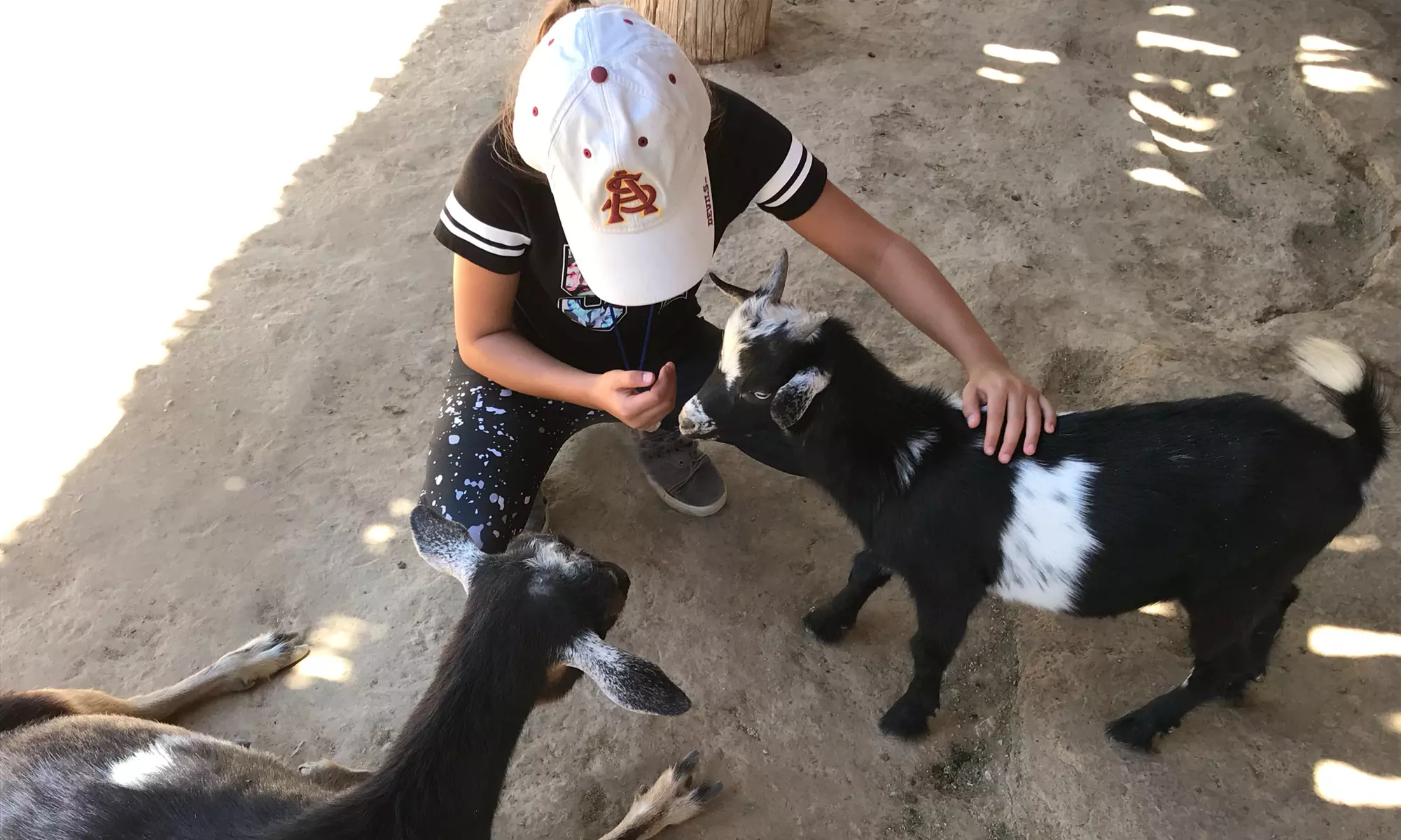 Admission to Wildlife World Zoo, Aquarium, & Safari Park