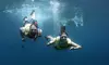 Sunset Dolphin Watch & Snorkel Cruise with Dinner and Cocktails for One Adult | Child | Infant (Up to 16% Off)