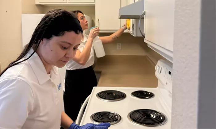 3 or 5 Hours of Standard Home Cleaning, Optional Carpet Cleaning