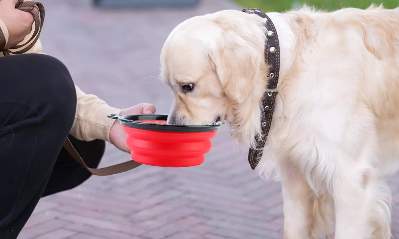 PetLuv Collapsible Silicone Travel Dog Bowls with Carabiners (4-Pack)