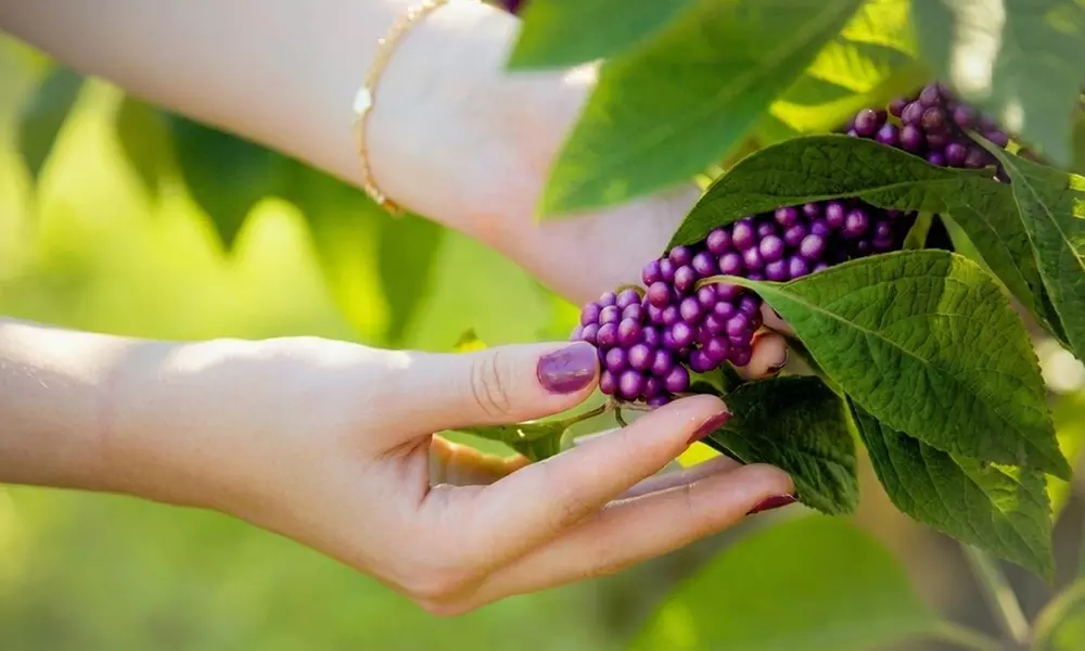 Outdoor Photography Sessions with Edited Digital Images