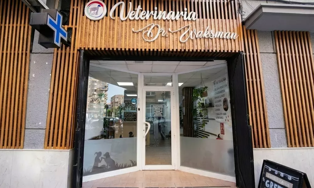 Cuida de tu peludito: esterilización felina para gato macho o hembra