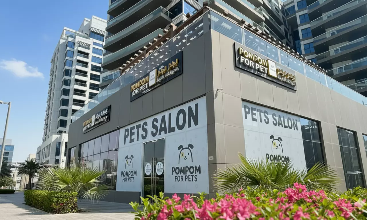 Full Grooming for Cats & Dogs – Small to XL Breeds