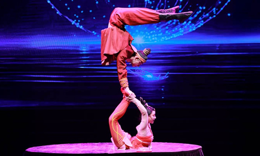 Image 8: Kölner Weihnachtscircus: 1 Ticket vom 28.11. bis 07.12.2025