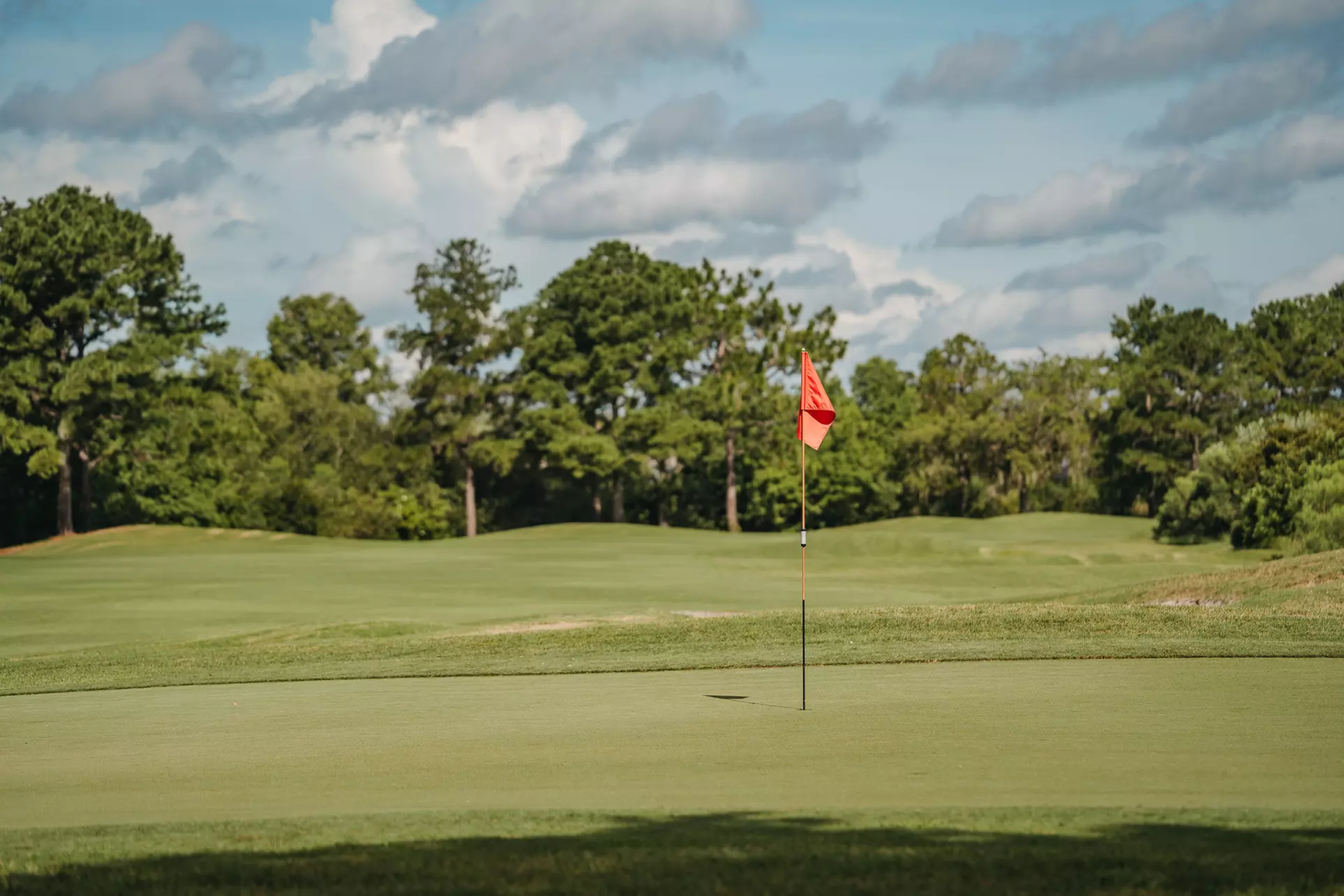Tee Off with a Cart, Warm Up and Drinks at Scenic Plantation Palms