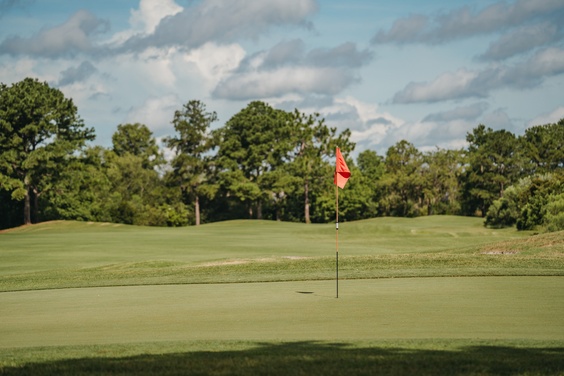 What to expect media