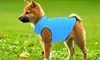 Pet Winter Warm Pullover Fleece Dog Jacket Sweaters Coat