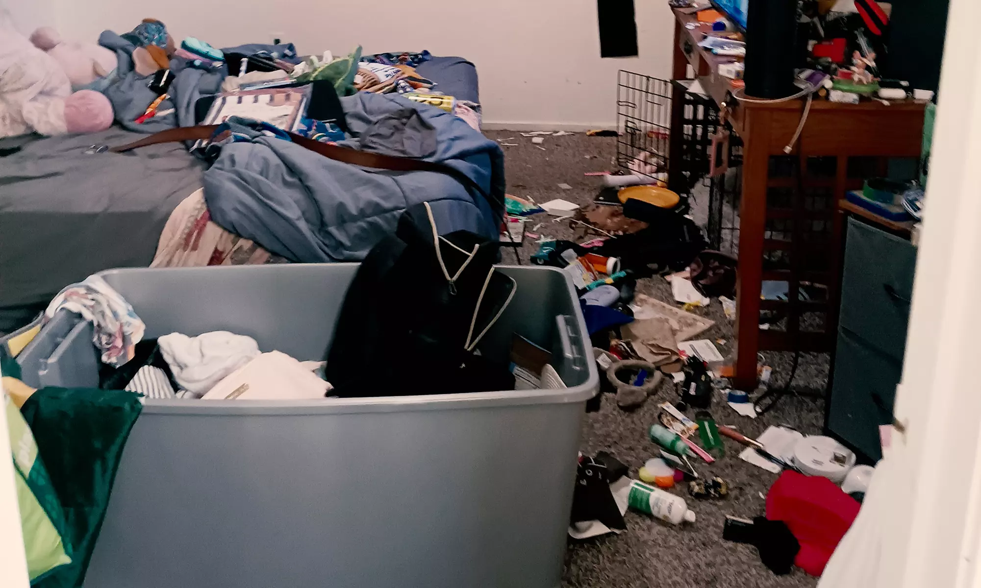 Home Cleaning: 3–5 Hour Sessions or Half-Bath Deep Clean with Supplies