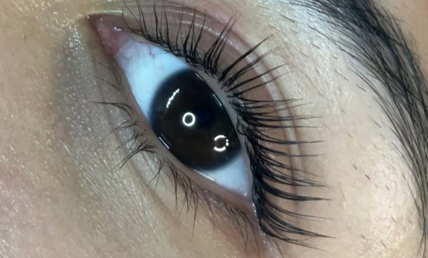 Image 2: Get an Eyelash Lift and Tint for Stunning Eyes