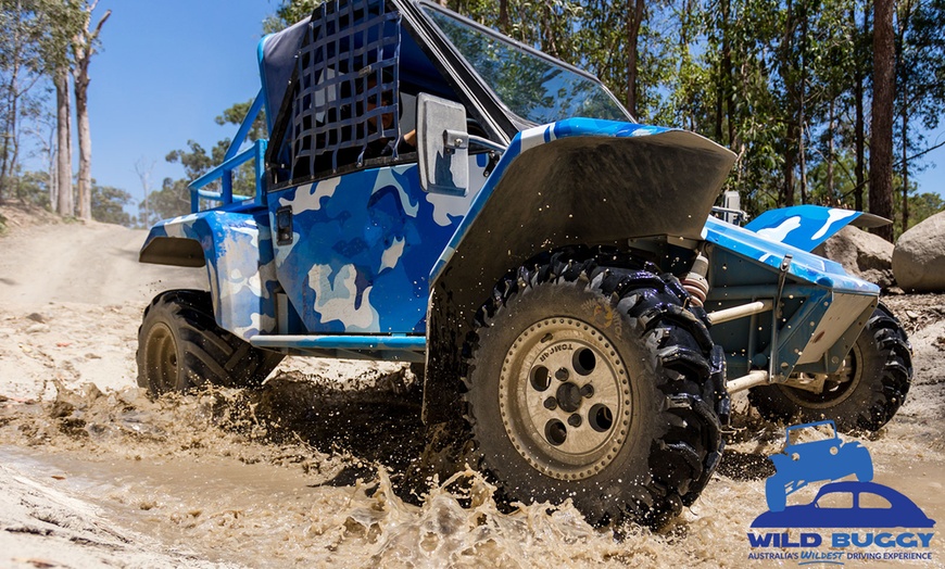 Image 1: Wild Buggy Off-Road Driving Experience