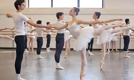 Adult Ballet Trial Class - The Russian Ballet School - Toronto