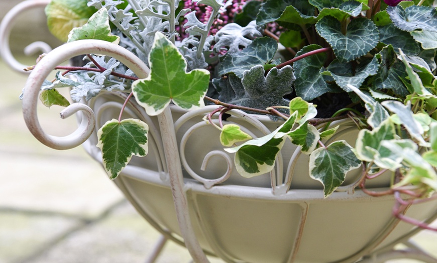 Image 2: One or Two Metal Wheelbarrow Planters