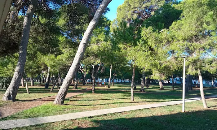 Menú de arroz para compartir, clásico o prémium, para 2 o 4 personas