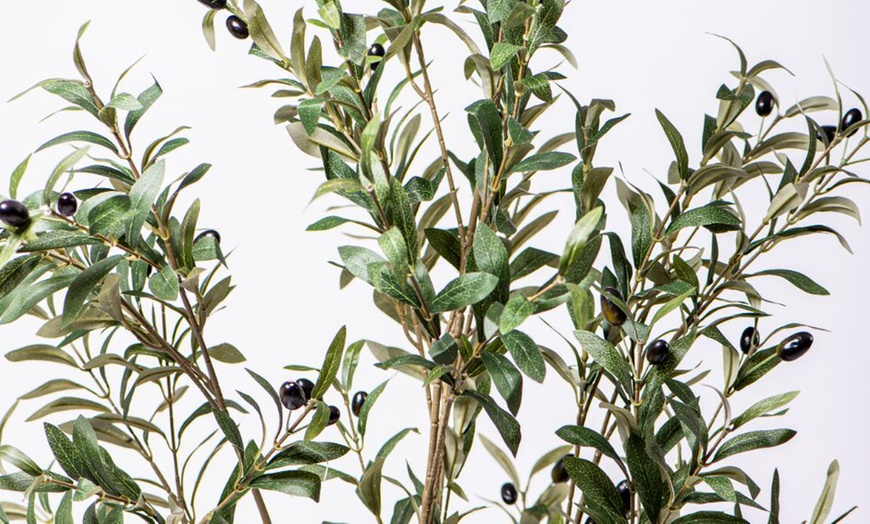 Image 15: Artificial Plants and Trees - Bamboo, Ficus, Olive and Palm