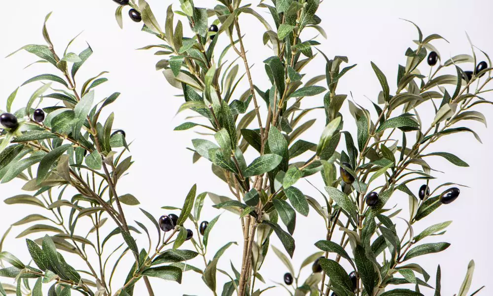 Artificial Plants and Trees - Bamboo, Ficus, Olive and Palm