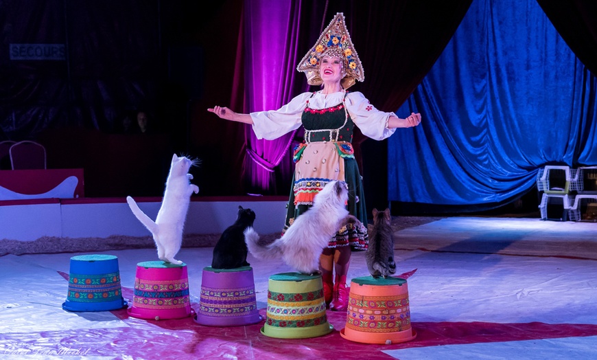 Image 3: Cirque Borsberg : acrobaties & féérie à Saint-Lô en dec. / janv.