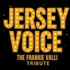 Image 1: Jersey Voice: The Frankie Valli Tribute Show