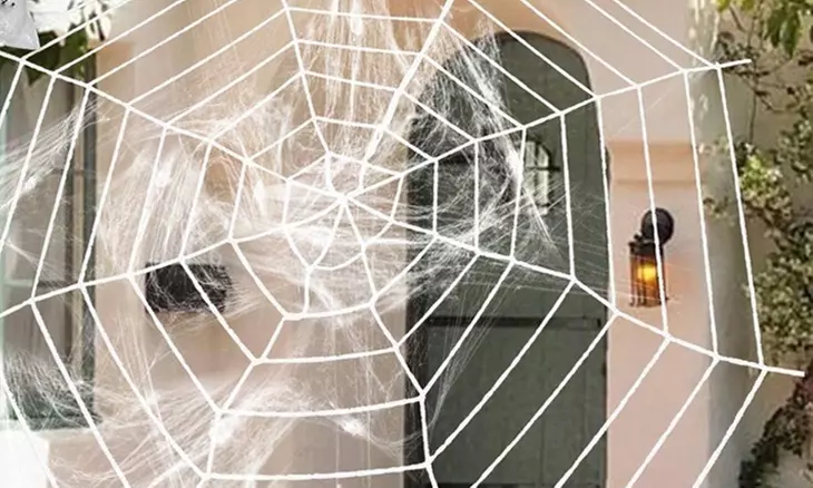 Large Fake Spider Web with Giant Hairy Spider Props Scary Halloween Decor
