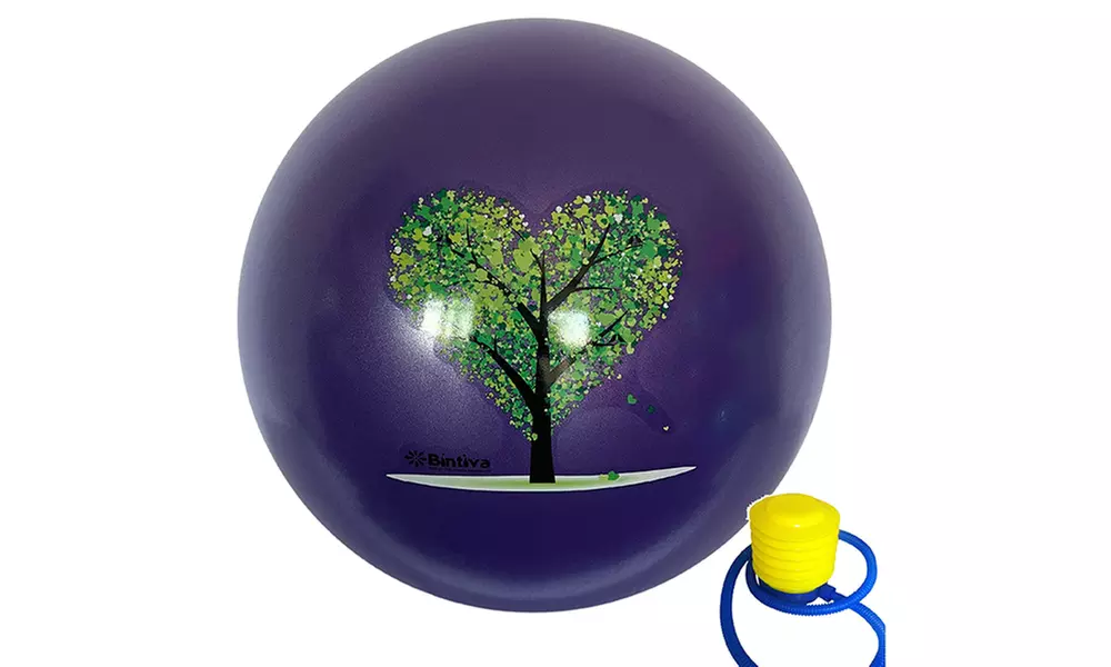 Bintiva Stability Ball With Stabilizing Sand