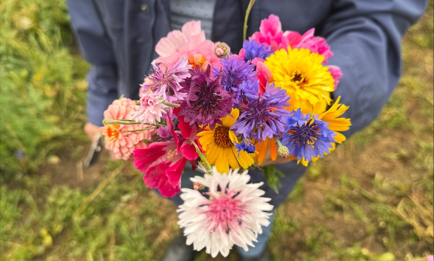Image 6: Maze Entry and Sunflower Picking for One, Two, Three, or Four People