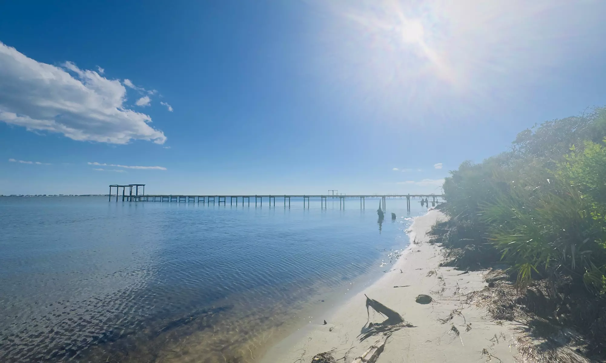 Capture Stunning Photos: Two or Four-Hour Emerald Coast Photo Safari