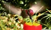 Join and Delight in The Hummingbird Sanctuary's Tea Party Experience for Four or Six People (Up to 34% Off)