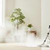 Image 1: Eco-Friendly  Carpet Steam Cleaning for 2,4 or 6 Rooms