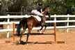 Up to 47% Off on Horseback Riding Lessons for Four Weeks at Harmony Riding - Second Medium